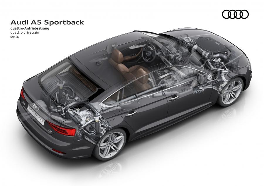 Схема Audi A5 Sportback 2.0 TDI Quattro S-Line 2016 года  (WW) (фото 28 из 35)